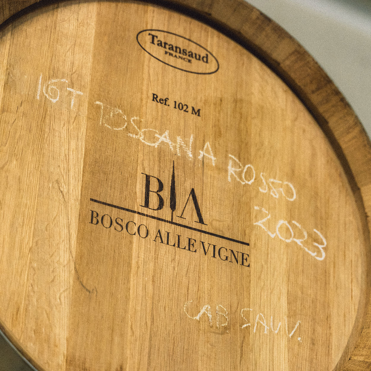 bosco-alle-vigne-bolgheri-cantina-5